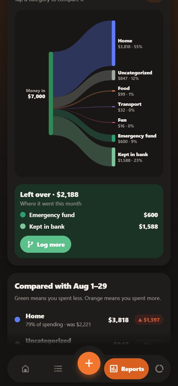Zenify's cash flow chart